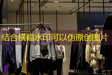 双溪西路两侧城市绿化工程 双溪西路两侧城市绿化工程