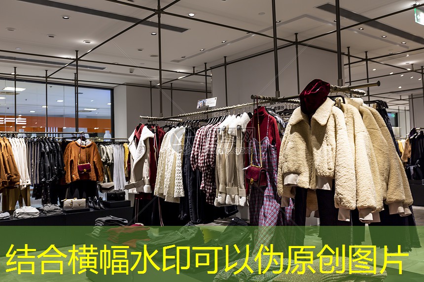 内江园林绿化草坪批发市场 内江园林绿化草坪批发市场