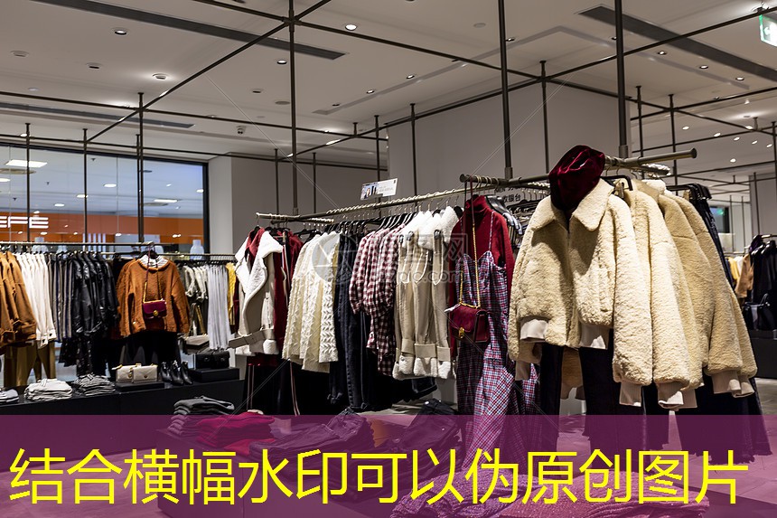 常州专业绿化工程供应商